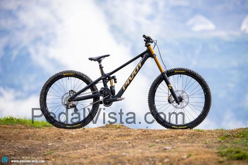 Pivot Cycles Phoenix fiche technique et avis
